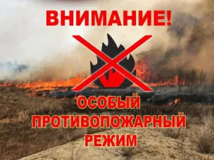 Постановление Правительства Нижегородской области "Об установлении на территории Нижегородской области особого противопожарного режима"